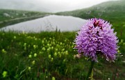 Baita e Monte Golla ad anello da Gorno il 18 giugno 2015 - FOTOGALLERY